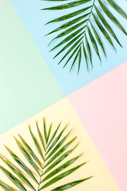 Photo tropical green palm leaves on colorful background nature concept flat lay top view