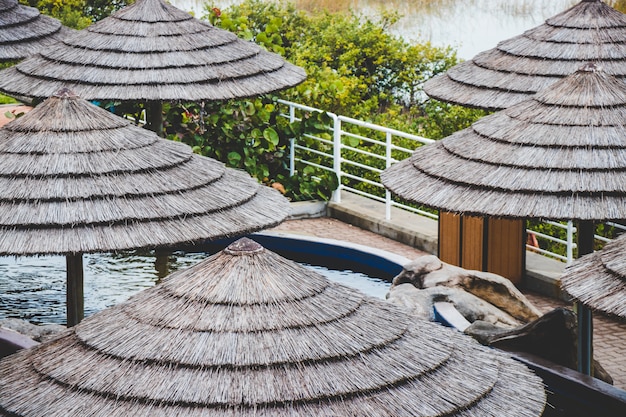 Tropical hay umbrellas by a pool 