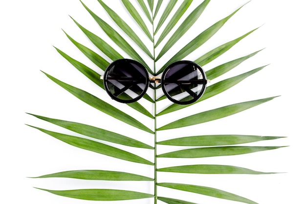 Tropical hipster leaf in sunglasses on white background flat laying top view