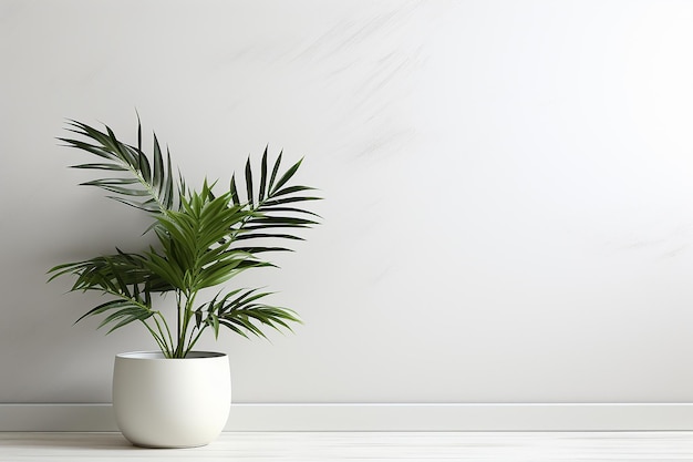 Тропическое домашнее растение в горшке с пространством на фоне эстетической белой стены