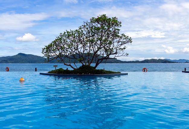 Tropical Infinity pool view with frangipani flower Kota Kinabalu Sabah Borneo Malaysia