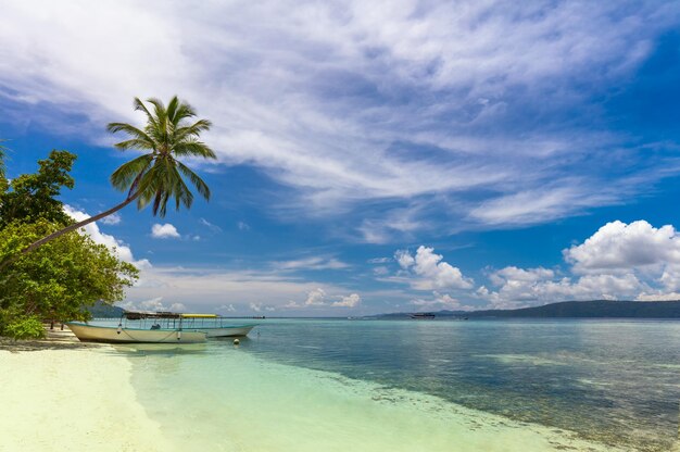 Tropical island beach with white sand turquoise water and coconut palm local boats on island coast beautiful sky with clouds Indonesian islands