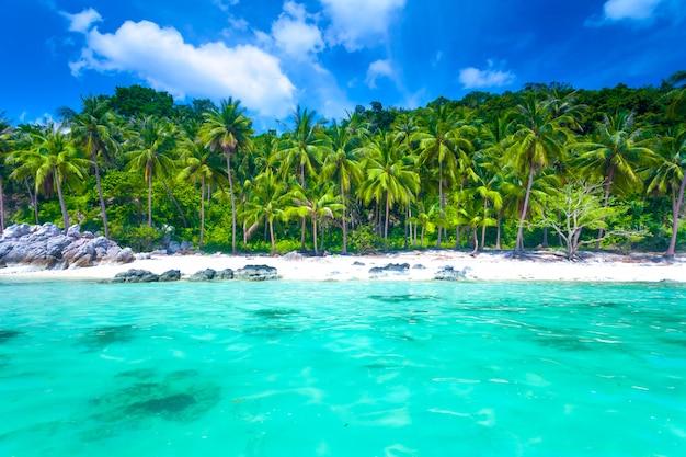 Tropical island beach