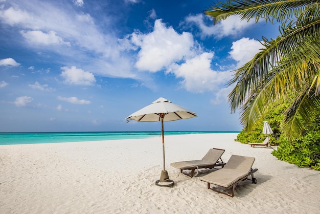 Tropical island landscape. Tranquil couple chairs beds leisure relax sand seaside palm leaves