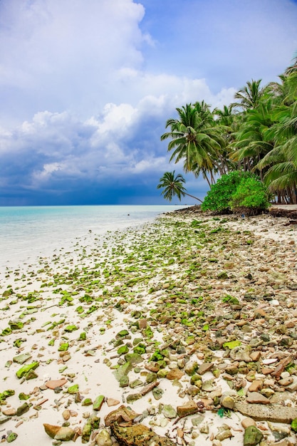 Tropical island nature romantic relax ocean Lanscape