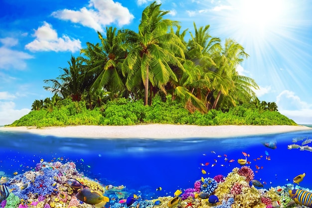 Foto isola tropicale nell'oceano e bellissimo mondo sottomarino