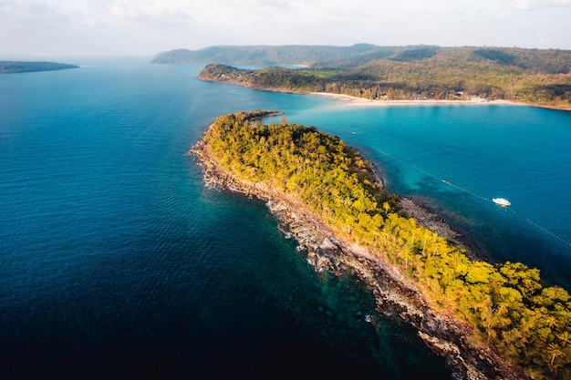 Tropical island and palm trees birdseye view