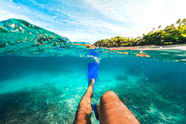 Tropical island palm e snorkeling subacqueo nel mare