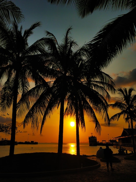 熱帯の島、夕焼け空を背景に手のひら