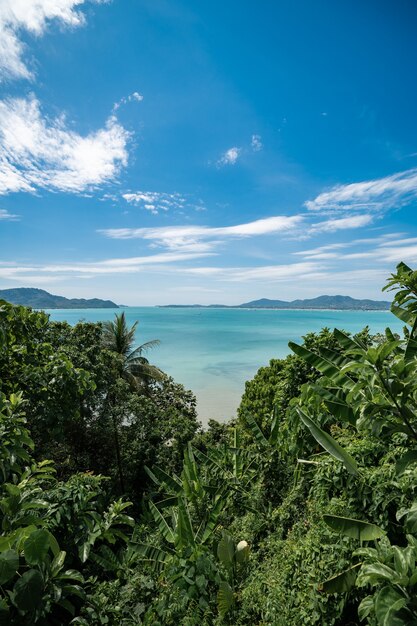 Photo tropical island with green trees on the foreground and beach, phuket, thailand.