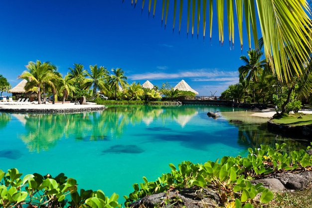 Foto un'isola tropicale con una palma e una barca in acqua