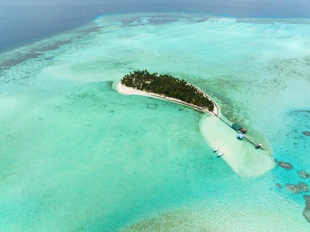 Tropical island with palm trees and sandy beach onok island balabac philippines