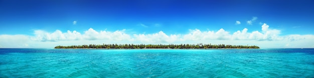 Tropical island with palms and beach panorama as background