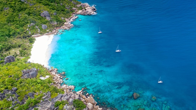 Isola tropicale con mare e palme scattata dalla foto aerea del drone seychelles