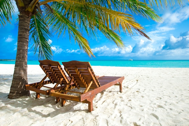 Tropical island with white sandy beach and sea