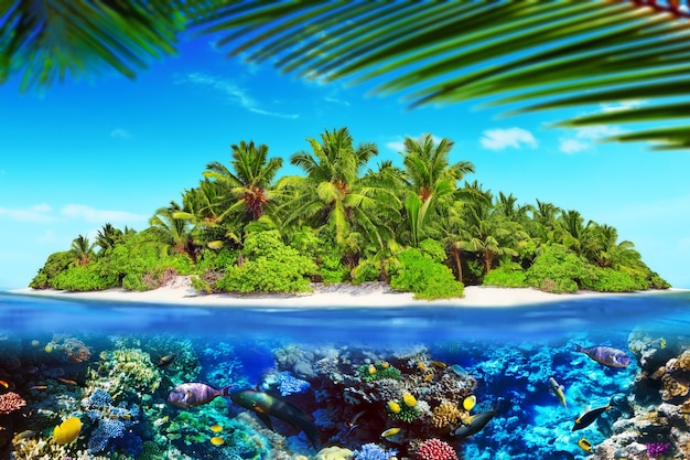 Фото Тропический остров в атолле в тропическом океане и чудесный и красивый подводный мир с кораллами и тропическими рыбками.
