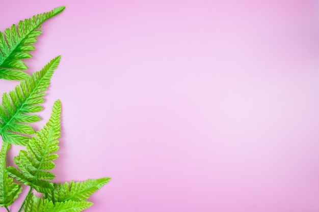 Tropical Jungle leave pink pastel color background 