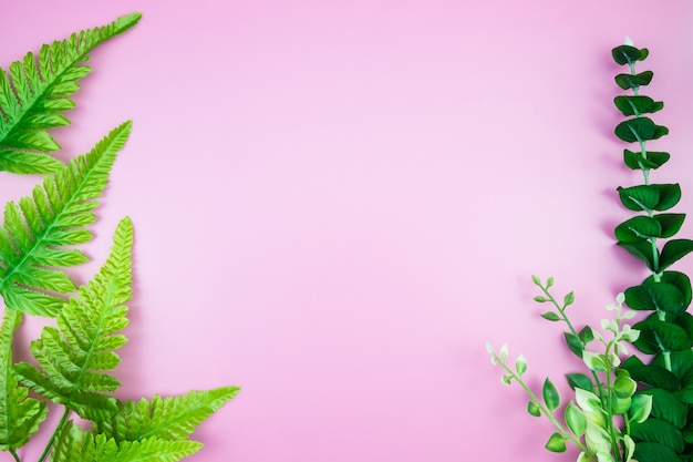 Tropical Jungle leave pink pastel color background