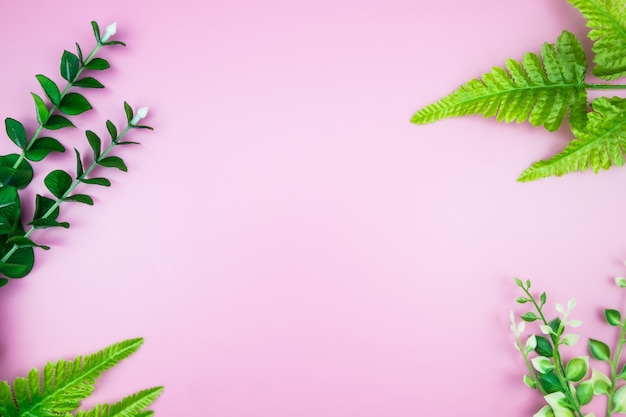 Tropical Jungle leave pink pastel color background