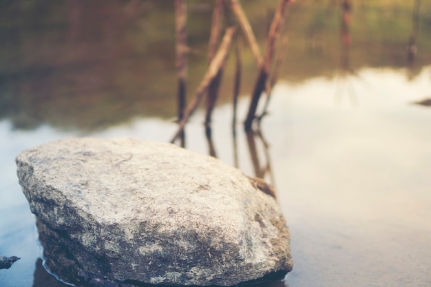 Photo tropical lake, nature scene