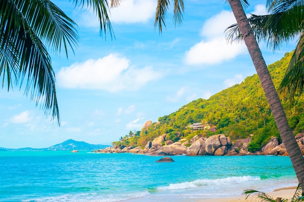 Tropical landscape blue sea with palm trees on the shore and a\
green hill in the background travel and tourism