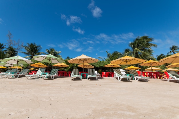 Tropical landscape with coconut palm beach on the island of boipeba bahia brazil