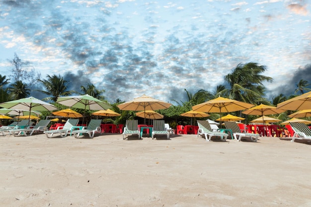 Paesaggio tropicale con spiaggia di palme da cocco sull'isola di boipeba bahia brasile Foto Premium