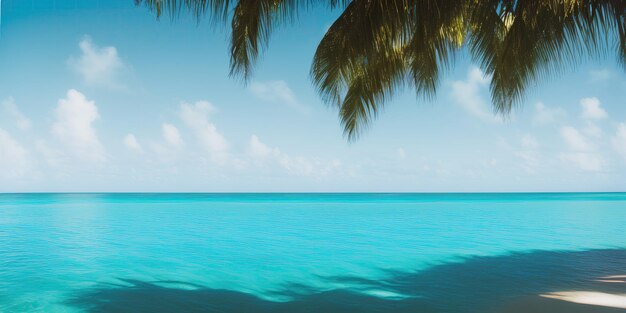 Тропический пейзаж с пальмами и синим морем