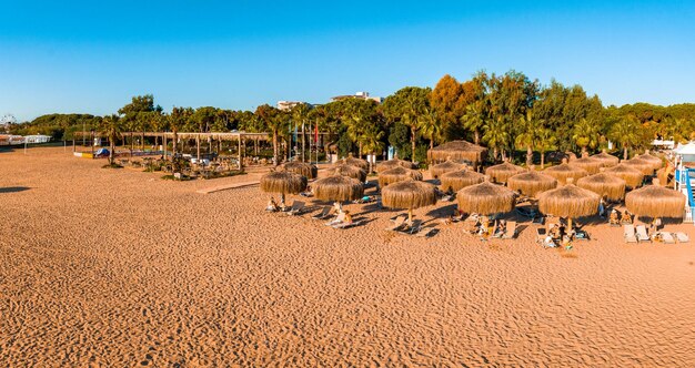 Foto paesaggio tropicale con palme ombrelloni oceano di sabbia bianca