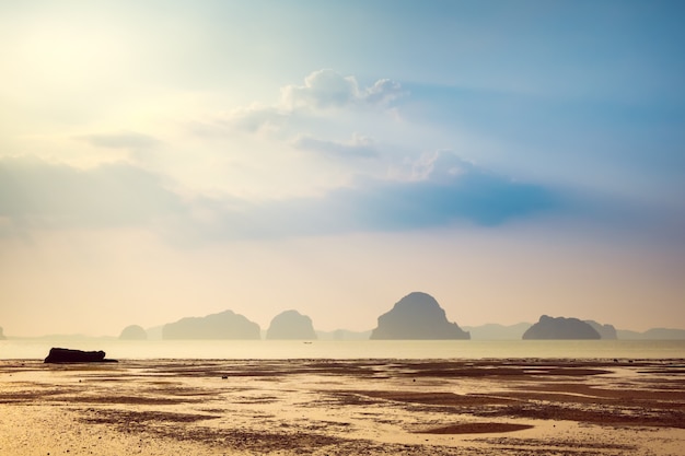 熱帯の風景