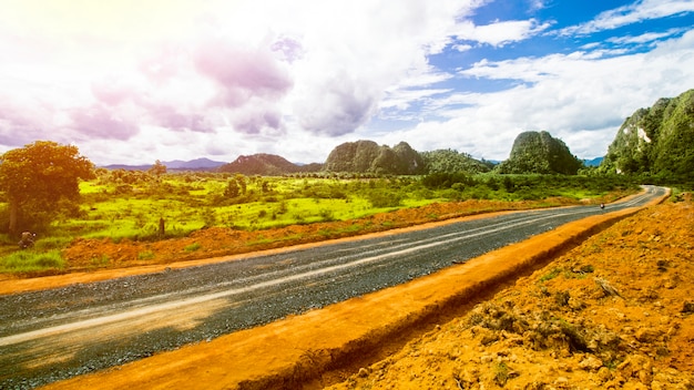 Tropical Landscape