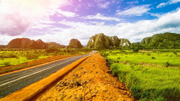 Tropical Landscape