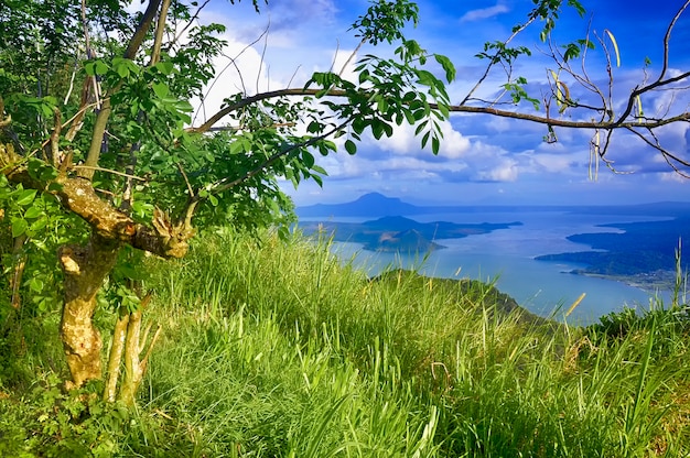 熱帯の風景