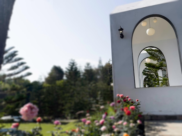 Paesaggio tropicale nel giardino di casa