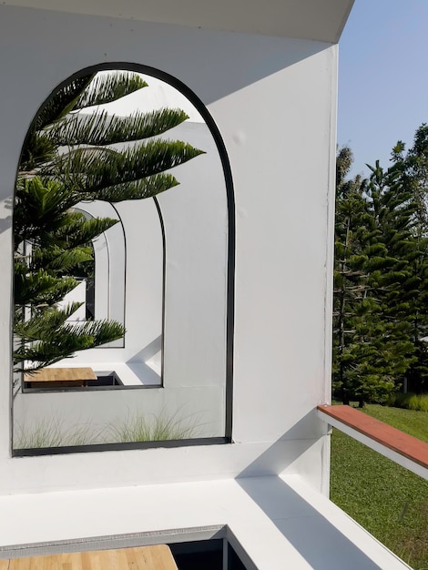 Paesaggio tropicale nel giardino di casa