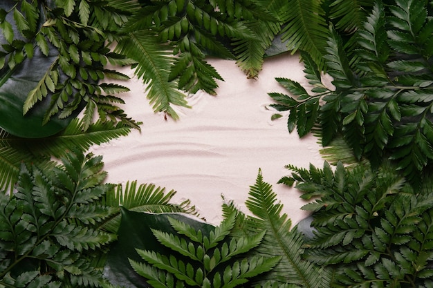 Tropical layout made of palm leaves with copy space on sand background