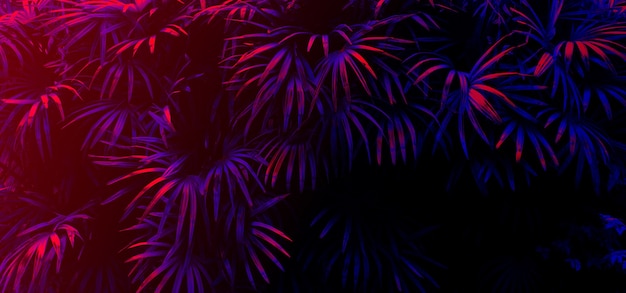 tropical leaf glow in the black light background. 