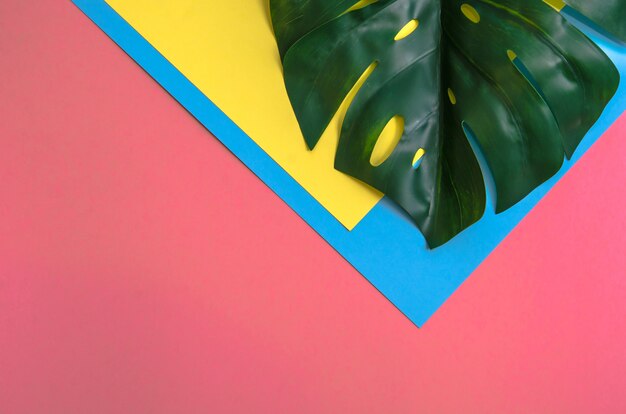 Monstera foglia tropicale su tre toni di colore solido giallo, rosa e sfondo azzurro.