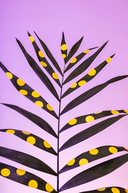 Tropical leaf with yellow dots close up