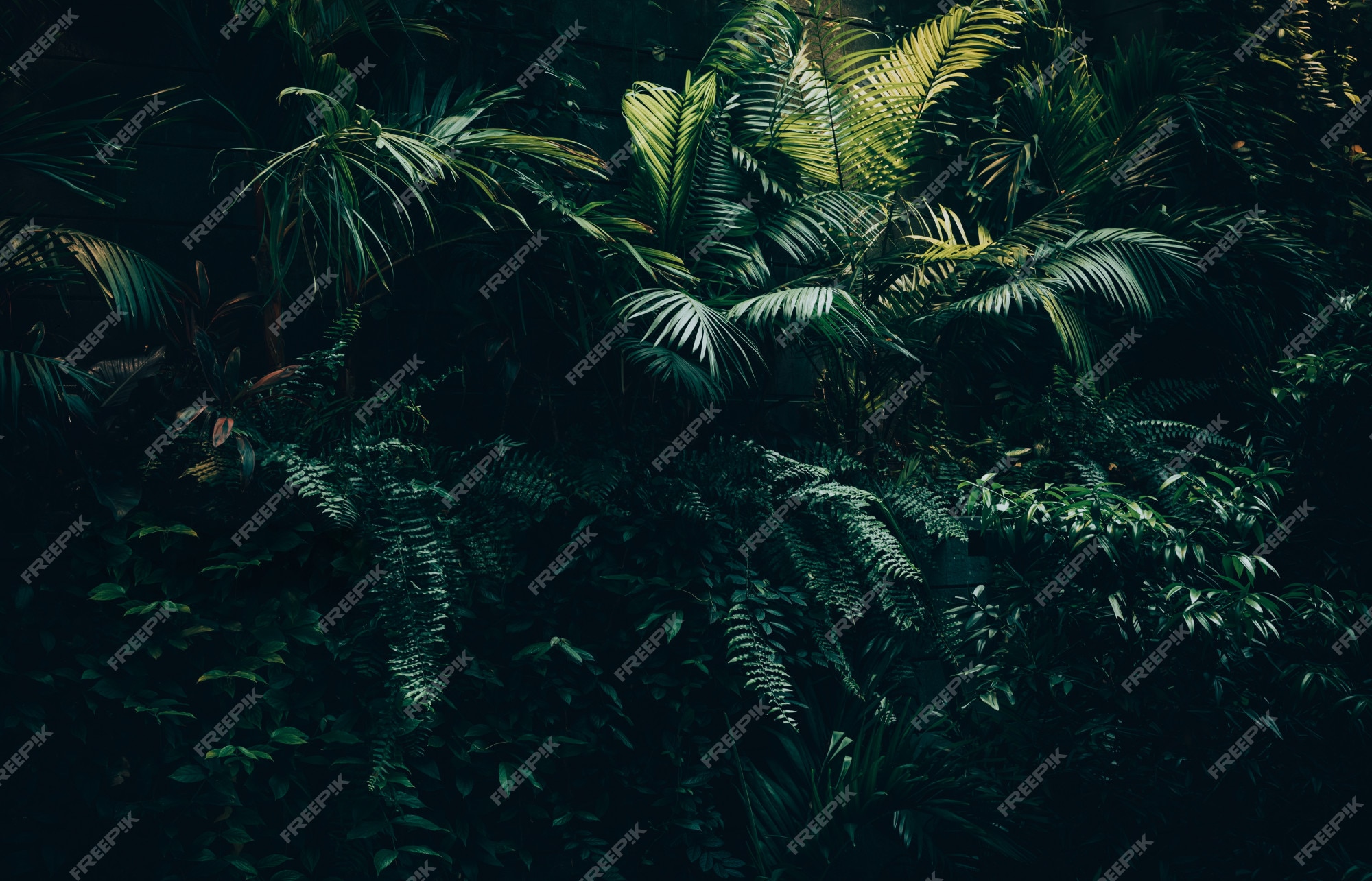 Jungle Background Images - Free Download on Freepik