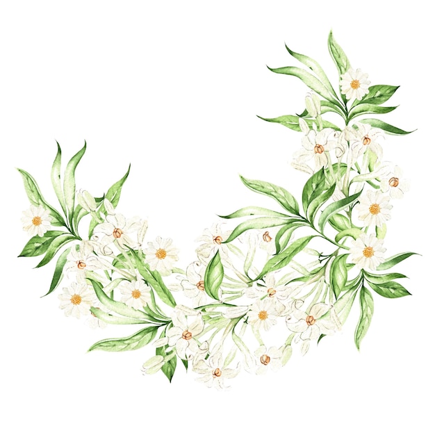 白い背景の水彩イラストの熱帯の葉の花の花輪