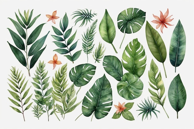 Tropical leaves and hibiscus flowers watercolor illustration