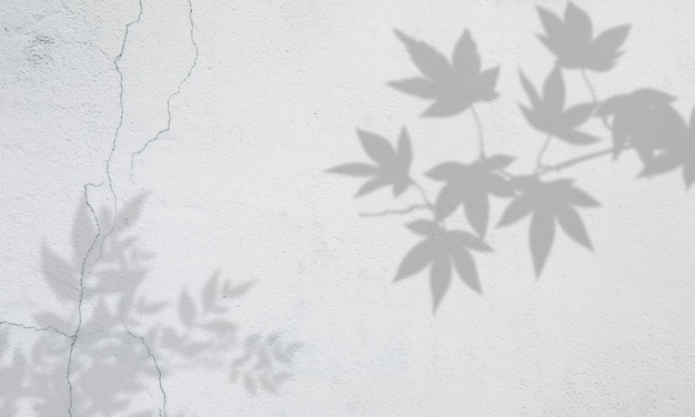 Tropical leaves natural shadow overlay on white texture background