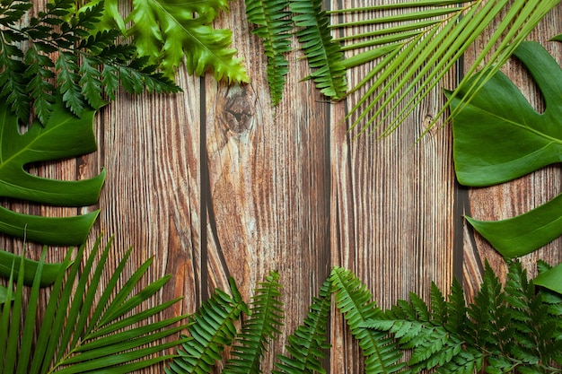 Tropical leaves old wooden background with copy space