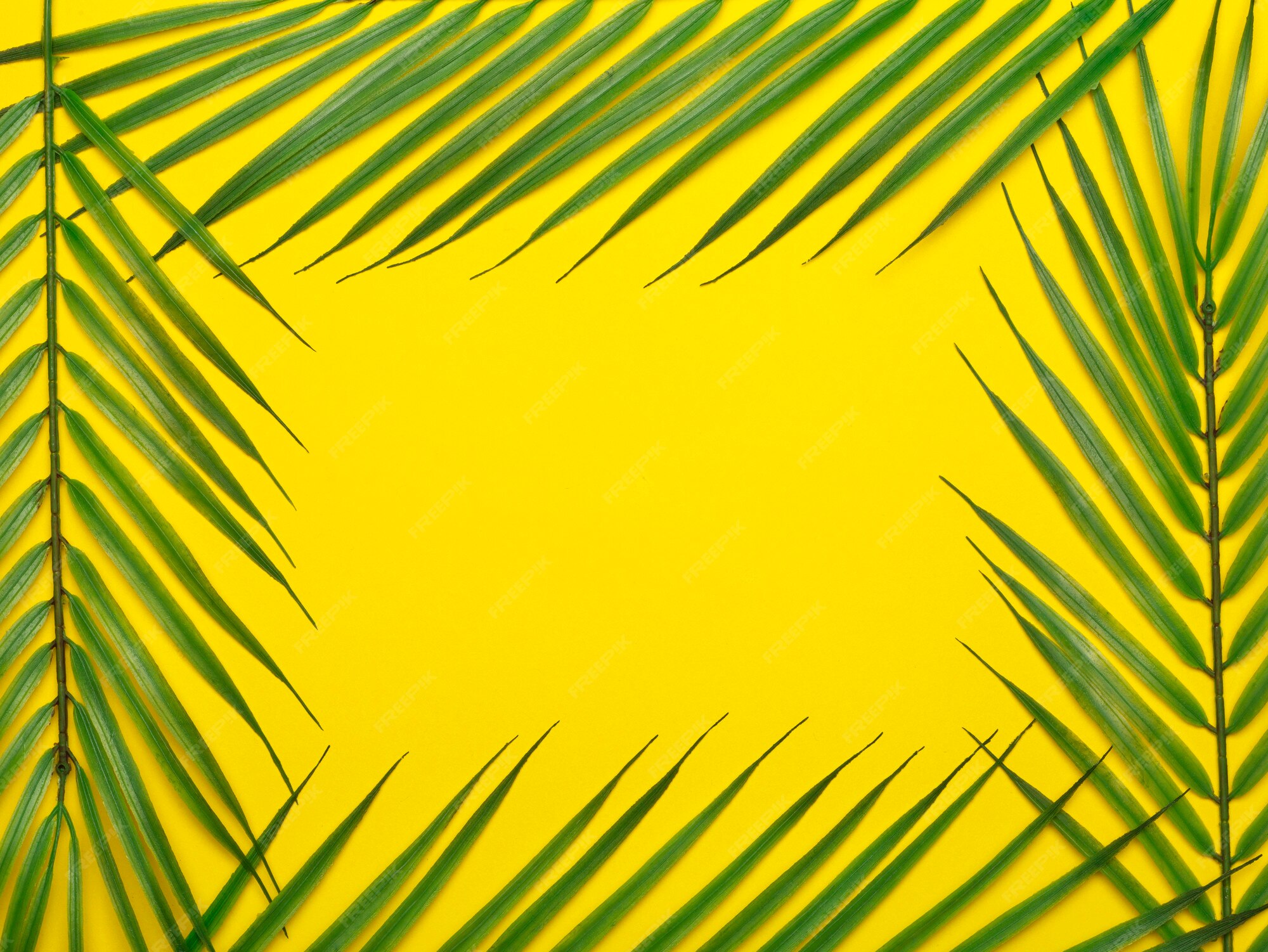 Premium Photo | Tropical leaves on a orange background