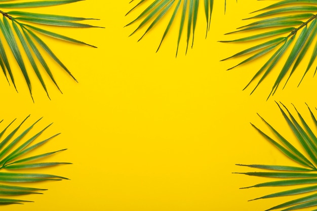 Tropical leaves on a yellow background