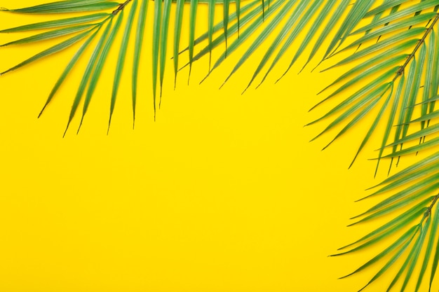 Tropical leaves on a yellow background