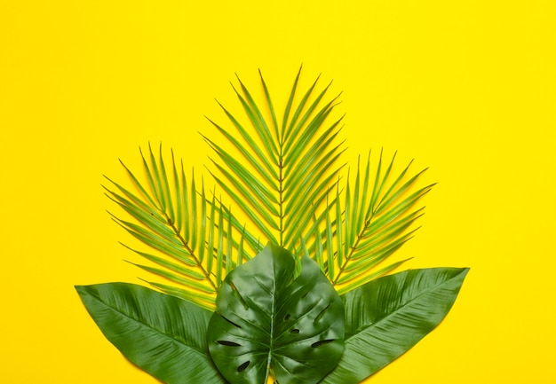 Tropical leaves on a yellow background