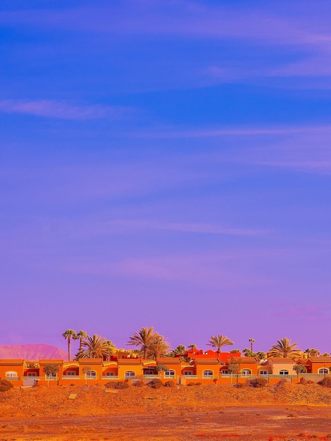 Foto posizione tropicale palma e casetta arancione isola delle canarie carta da parati per le vacanze di viaggio alla moda