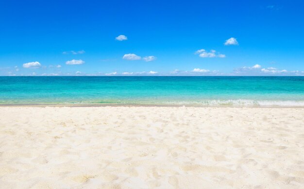 写真 マルディブ諸島 - 白い砂のビーチと海